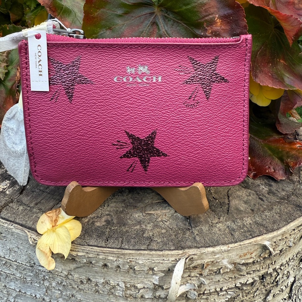 Coach NWT Star Canyon Key Pouch